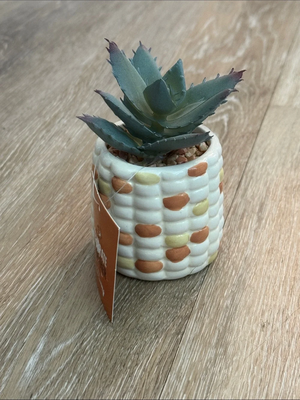 Bundle of 2 Mini Faux Succulents Non Matching Ceramic Pots Kohl's Target 2